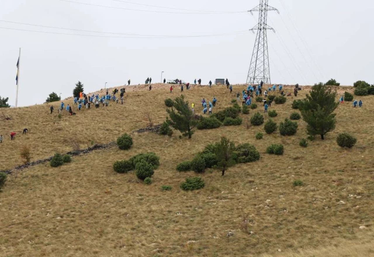 Akcija pošumljavanja na Fortici