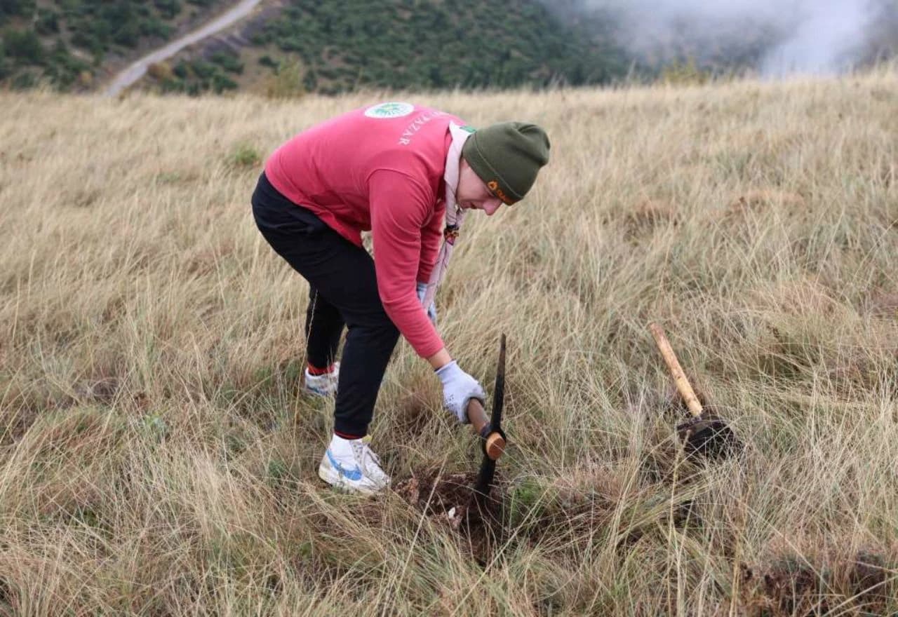 Akcija pošumljavanja na Fortici