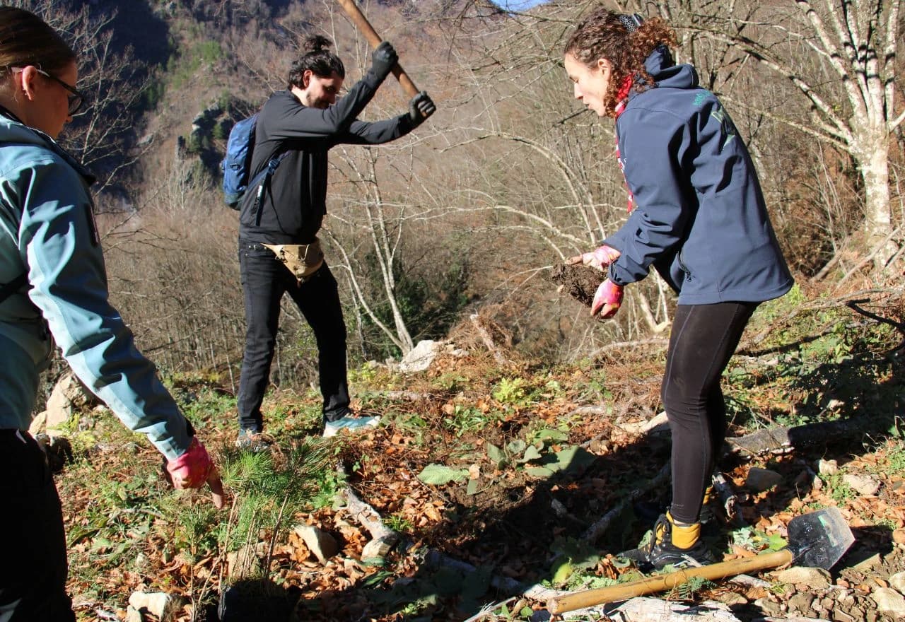 Akcija pošumljavanja u Konjicu i Jablanici