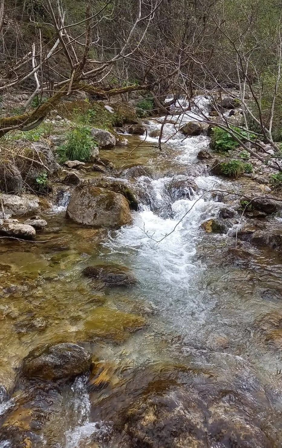 Rijeka Šanica s istočne strane Prenja