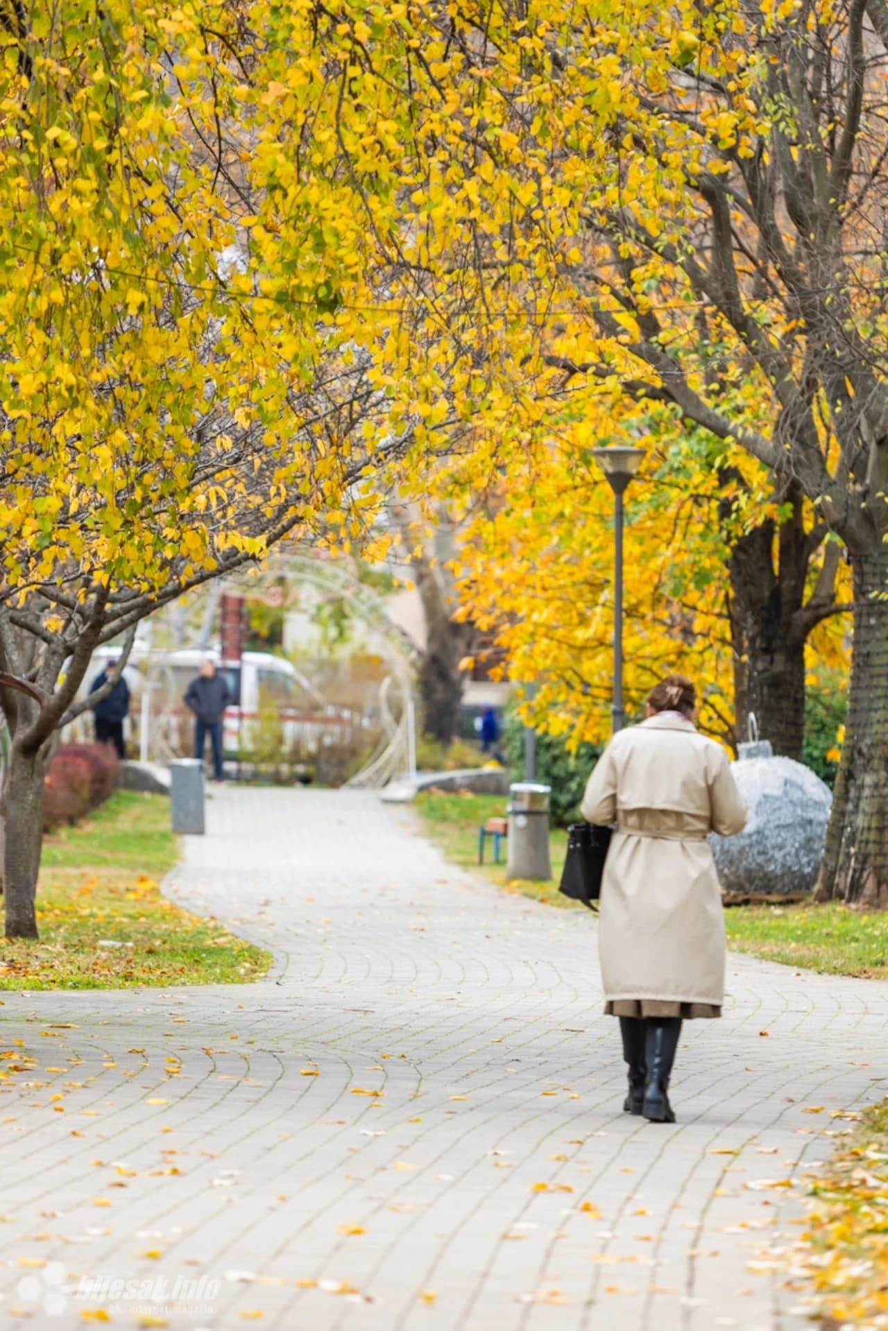 Lišće u parku početkom prosinca