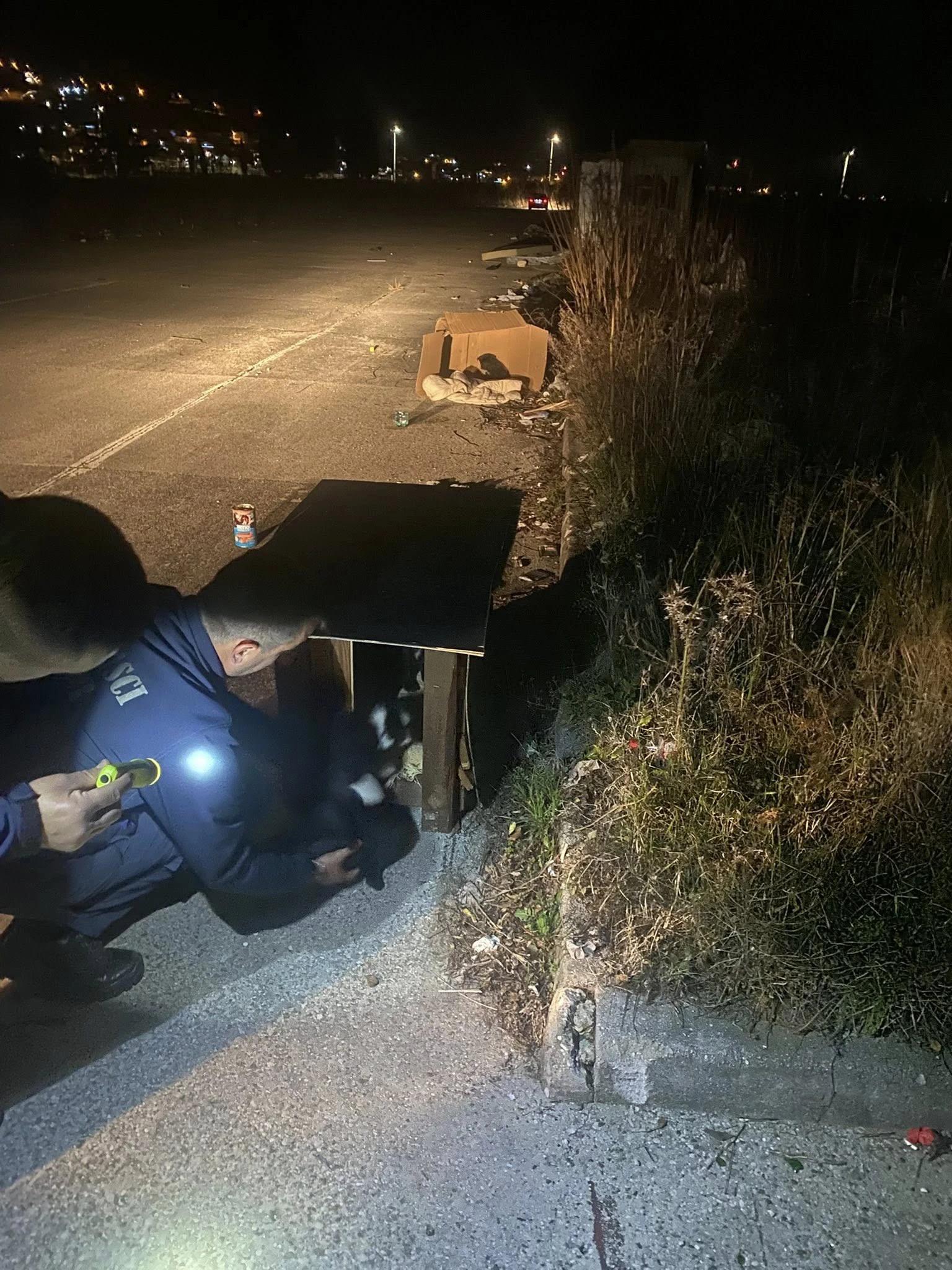 Vatrogasci su im napravili improviziranu kućicu