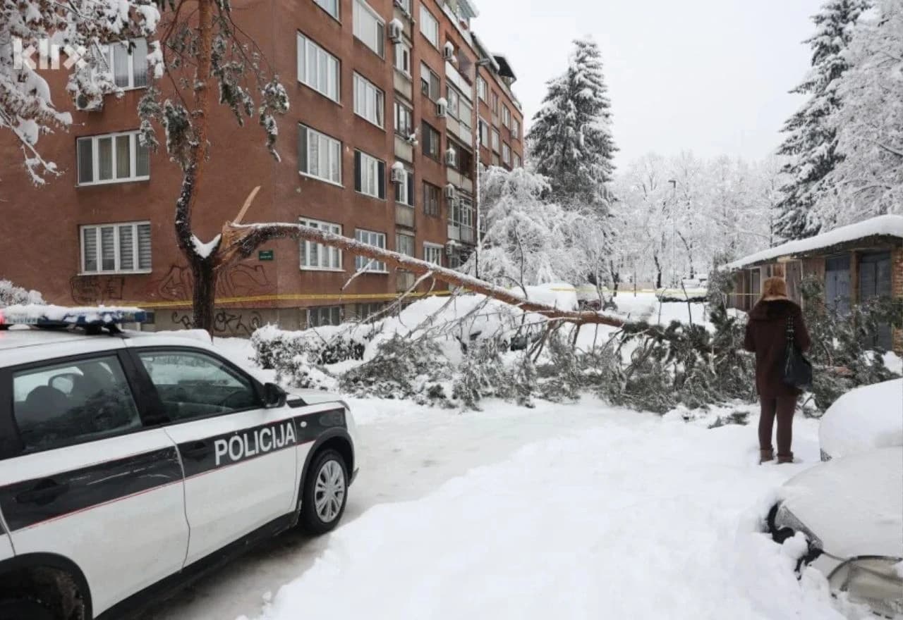 Preminula žena na koju je palo stablo u Sarajevu