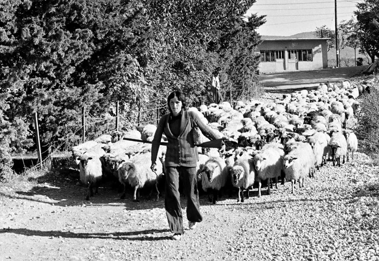 Zaboravljena stočarska slika Širokog Brijega