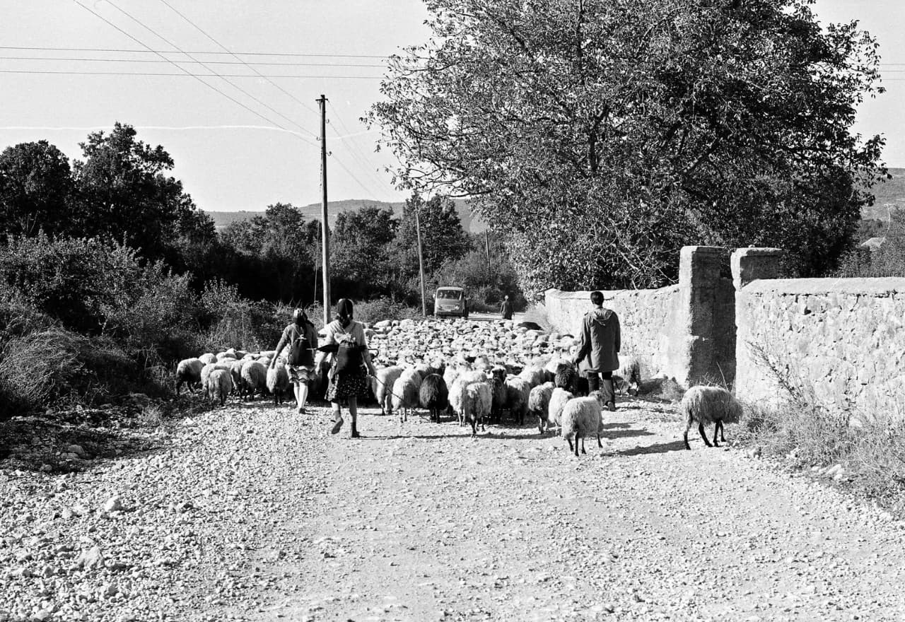 Zaboravljena stočarska slika Širokog Brijega