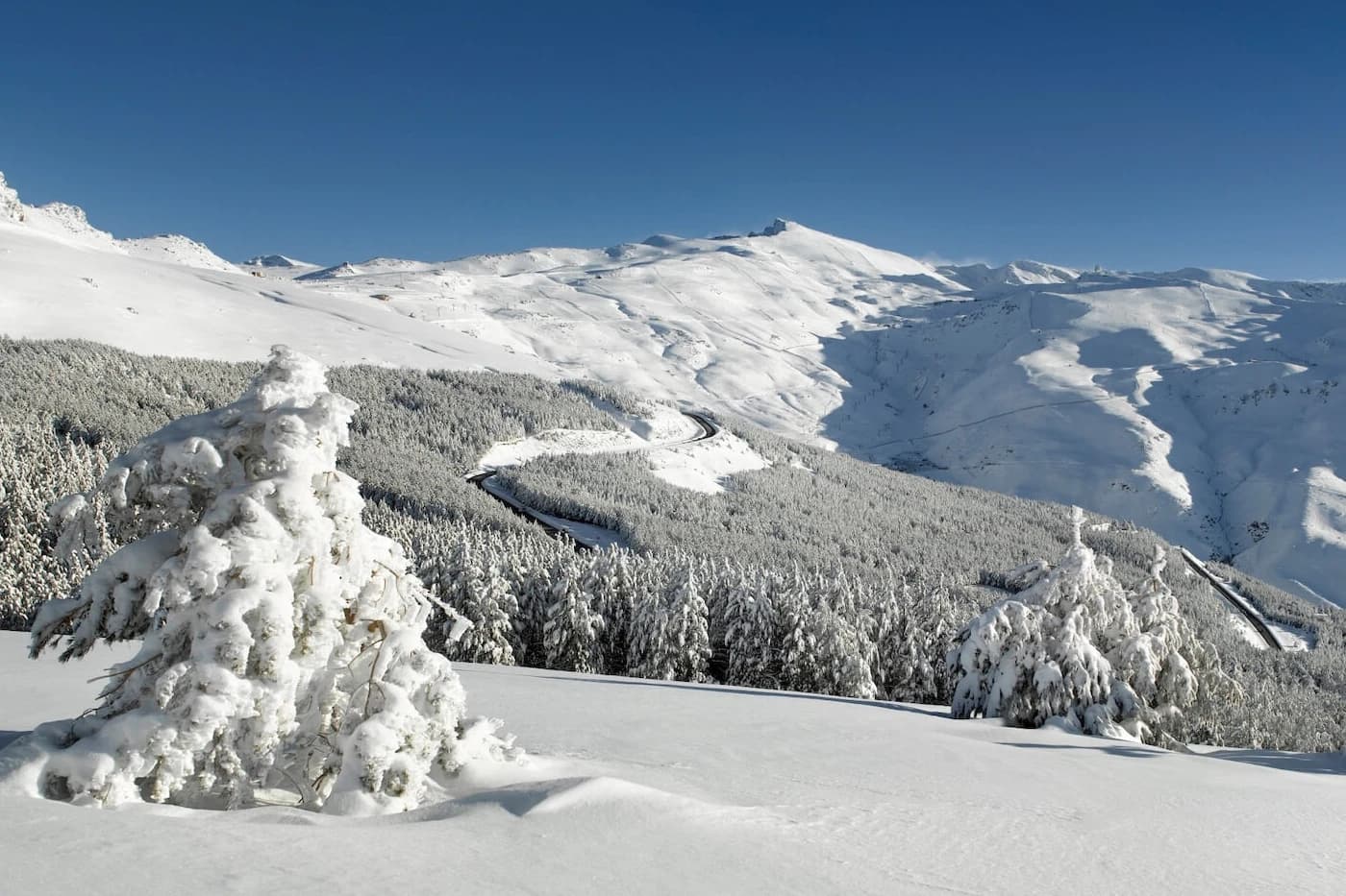 Sierra Nevada