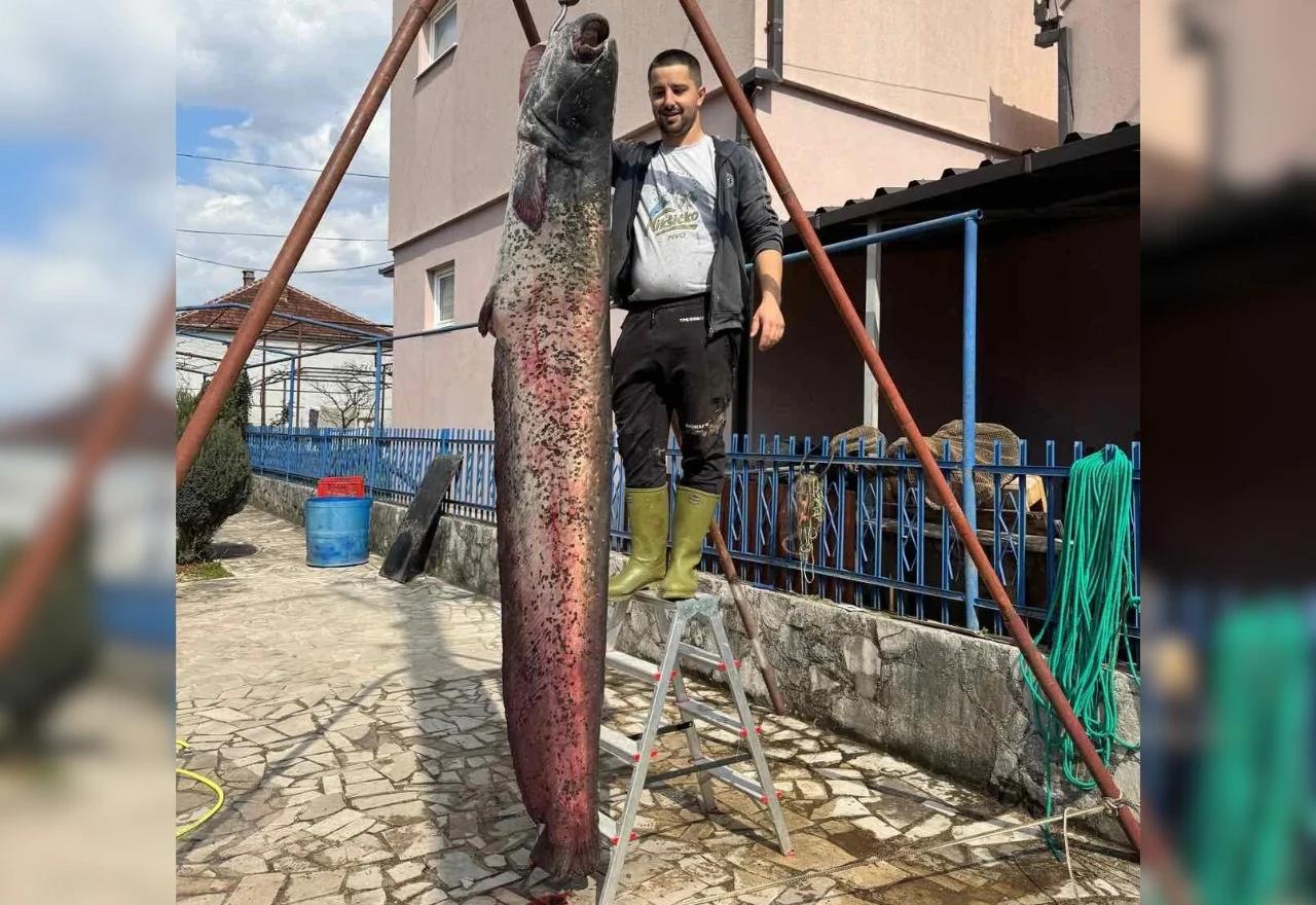 Marko Milošević iz Bileće ulovio soma kakvog dosad nije ni vidio