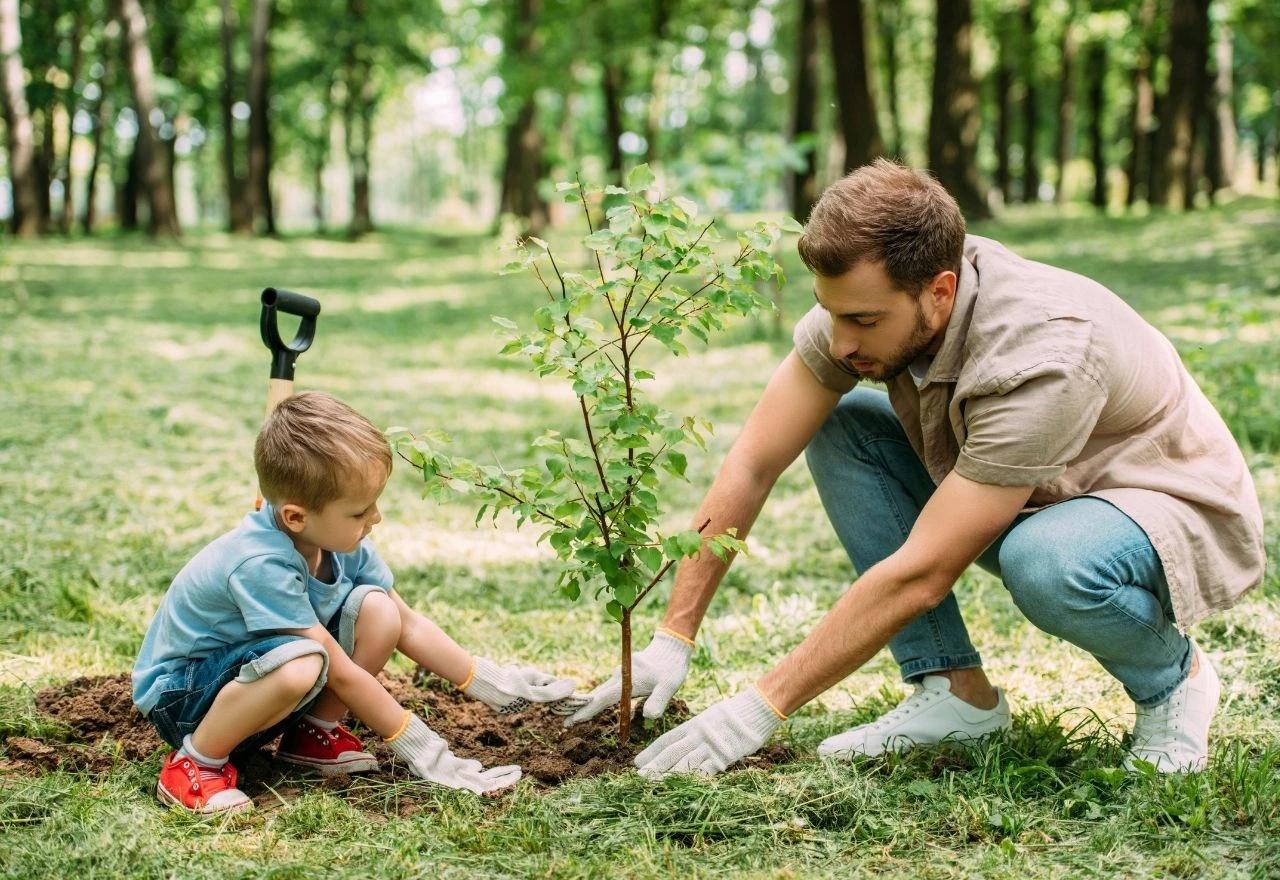 Otac i sin sade drvo
