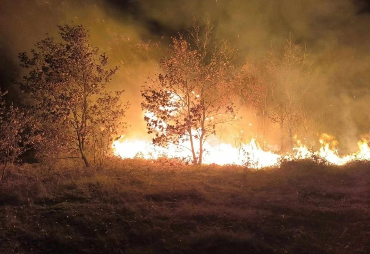 Požar u naselju Služanj na području općine Čitluk
