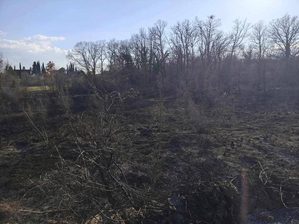 Požar u Donjim Hamzićima