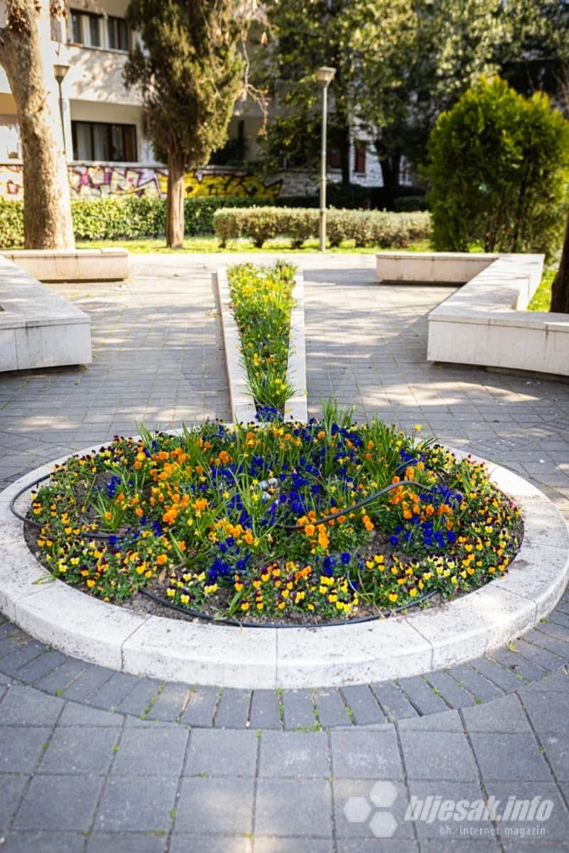 Cvijeće u Parku Nobelovaca