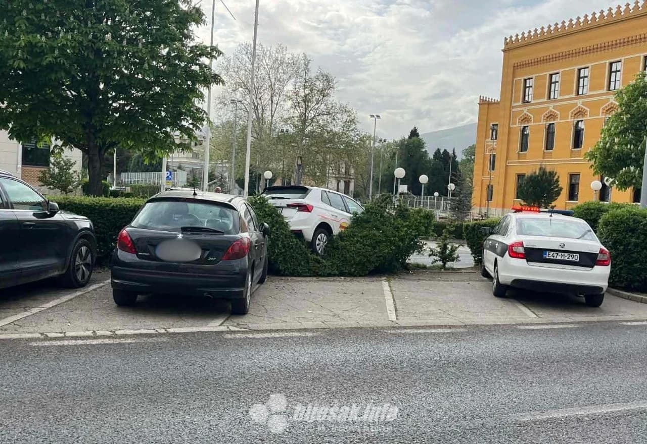 Automobil završio u žbunju