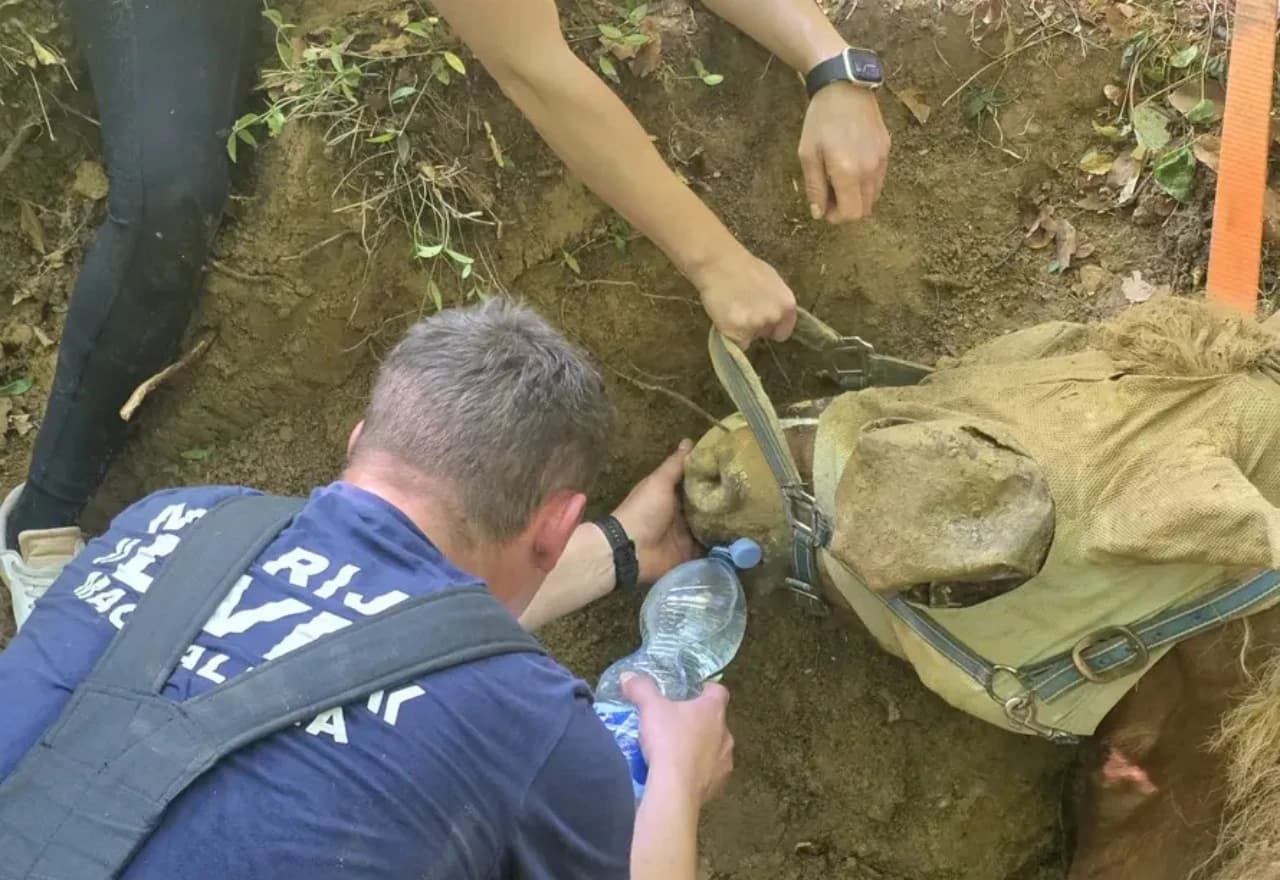 Kobila i vlasnik upali u jamu