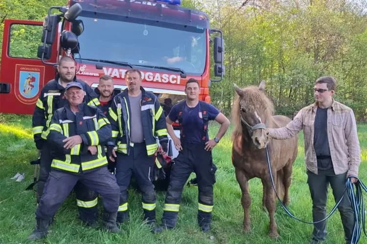 Kobila i vlasnik upali u jamu