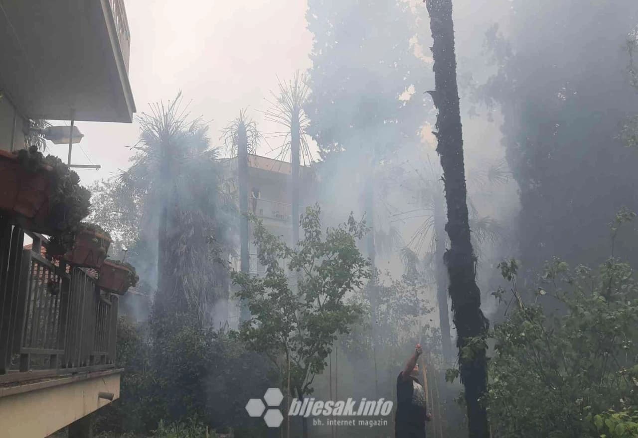 Gust dim u dvorištu