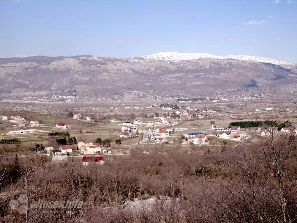 Rakitno