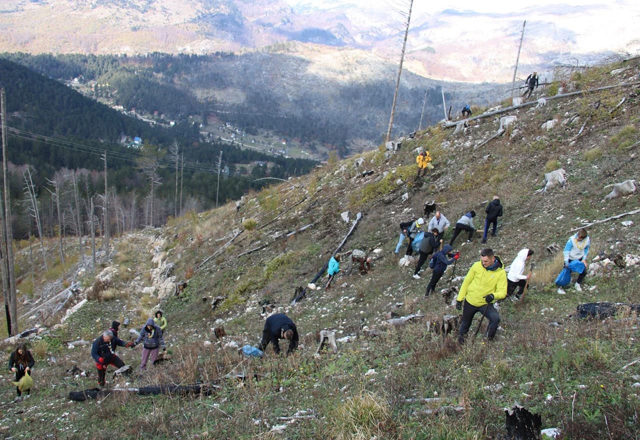 Akcija pošumljavanja na Rujištu