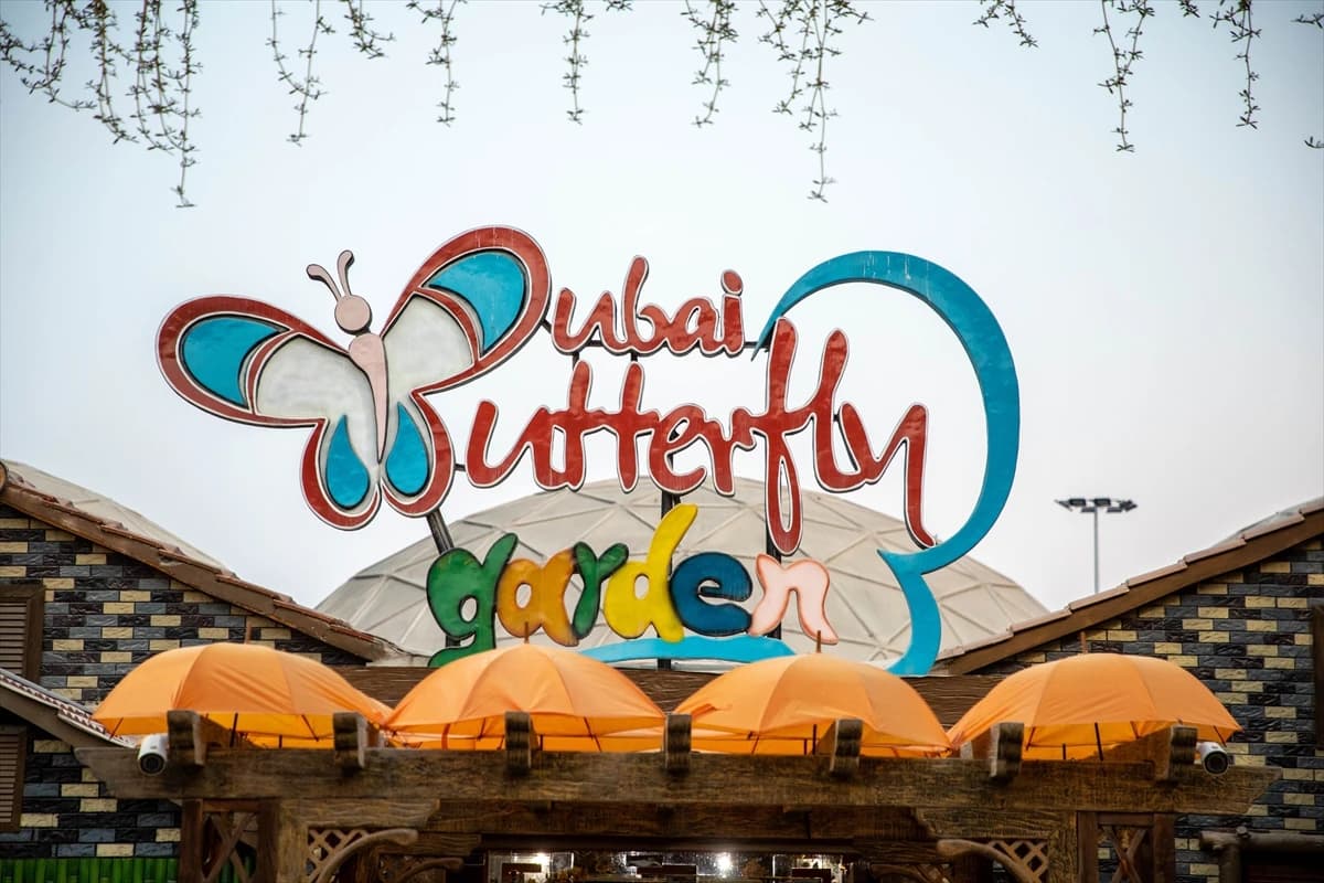 Oko 15.000 leptira u Dubaiju