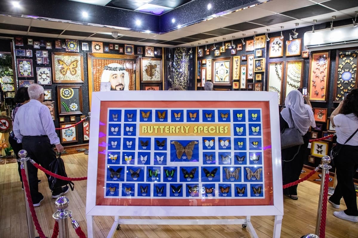 Oko 15.000 leptira u Dubaiju