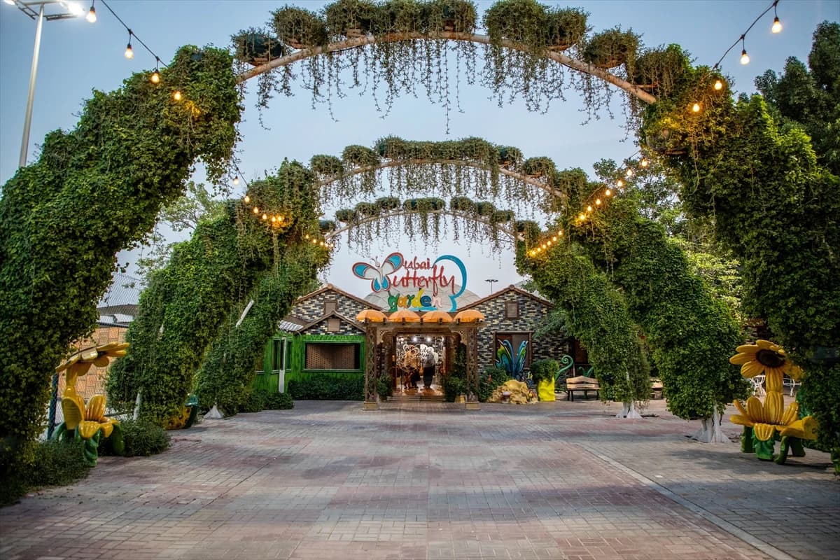 Oko 15.000 leptira u Dubaiju