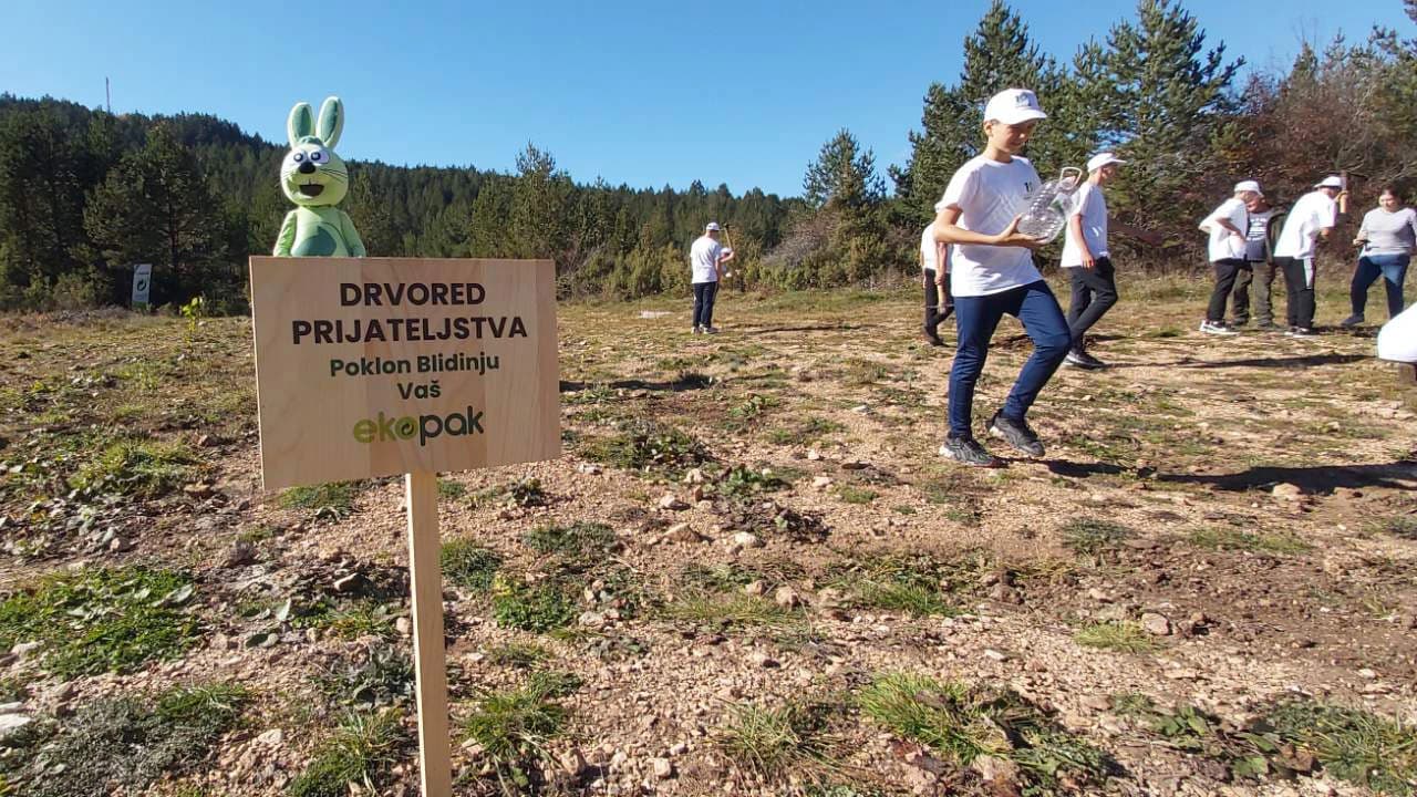 Sadnja drvoreda prijateljstva