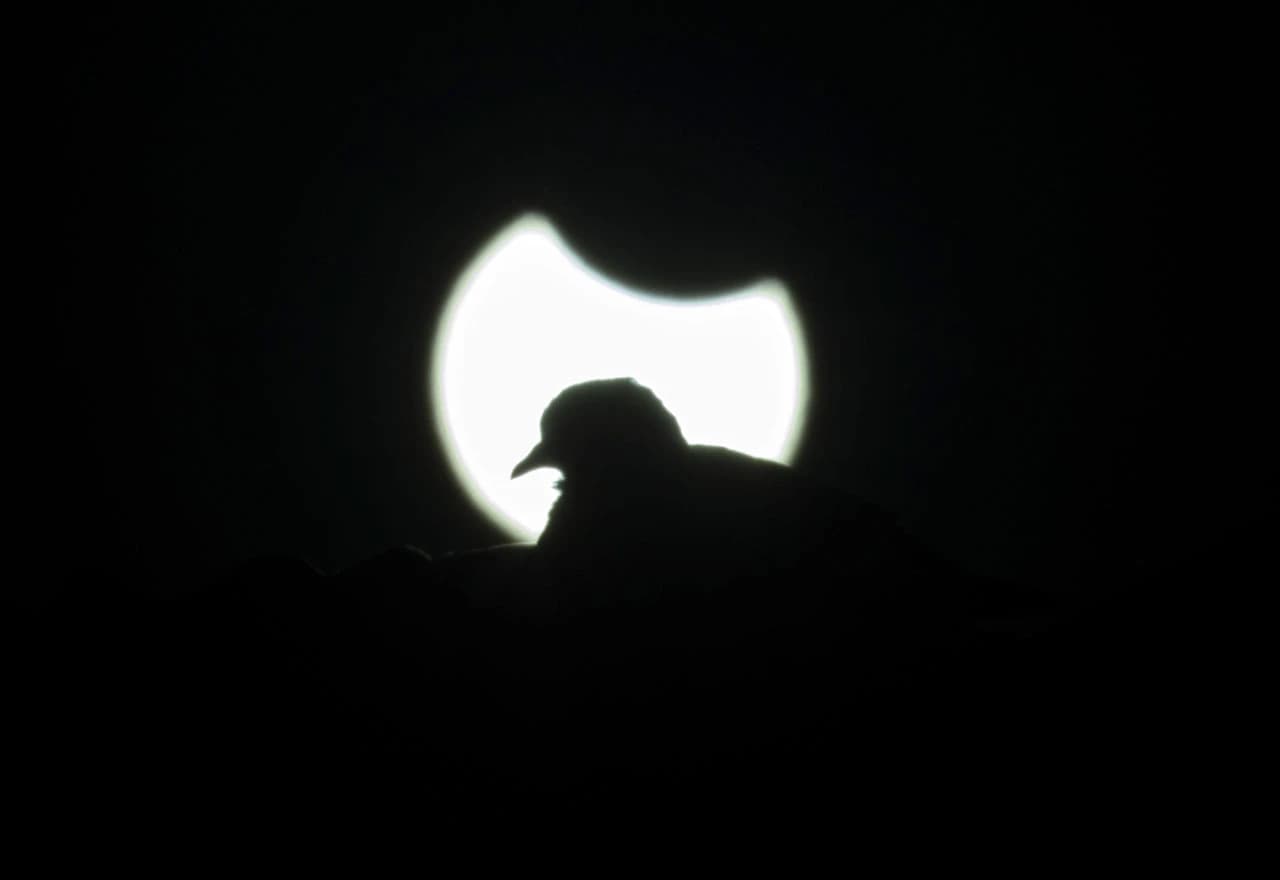 Djelimična pomrčina Sunc