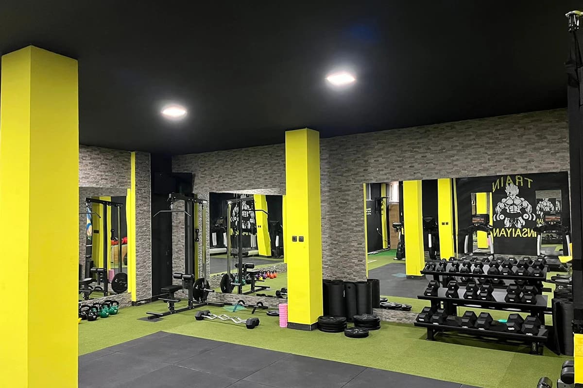 Train Insaiyan Fitness centar