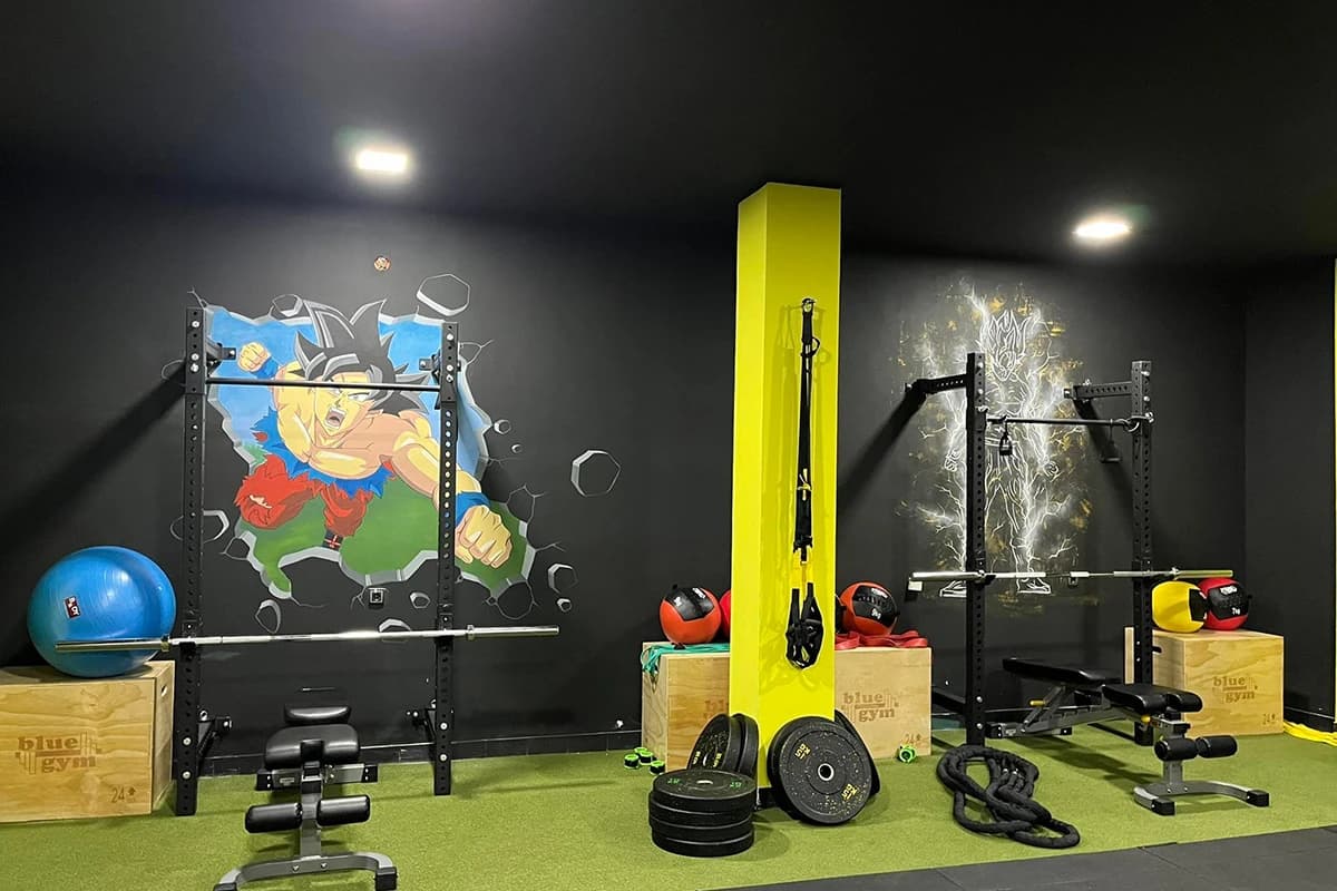 Train Insaiyan Fitness centar