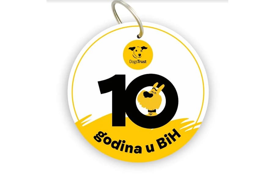 Dogs Trust: 10 godina u BiH
