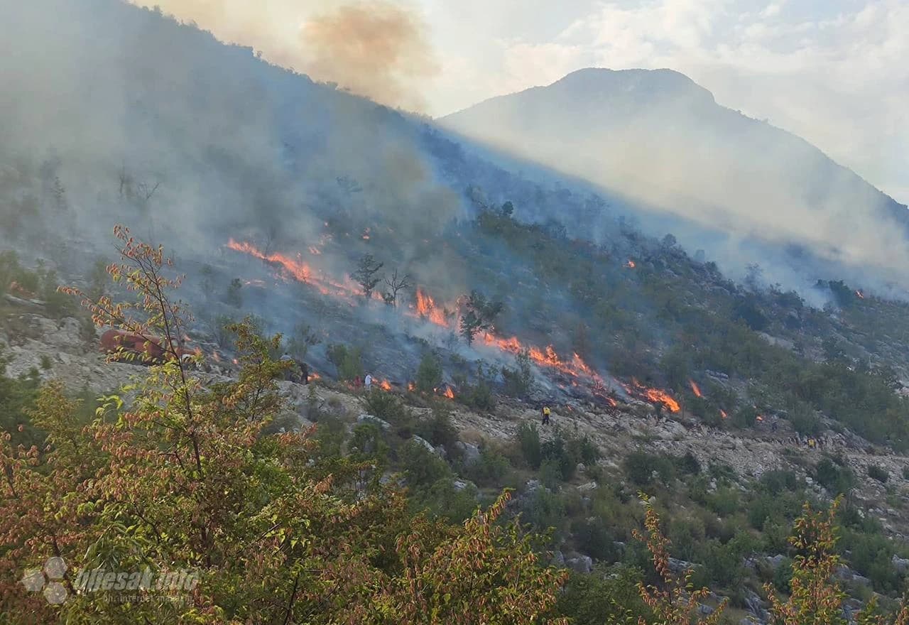 Požar u neumskom zaleđu