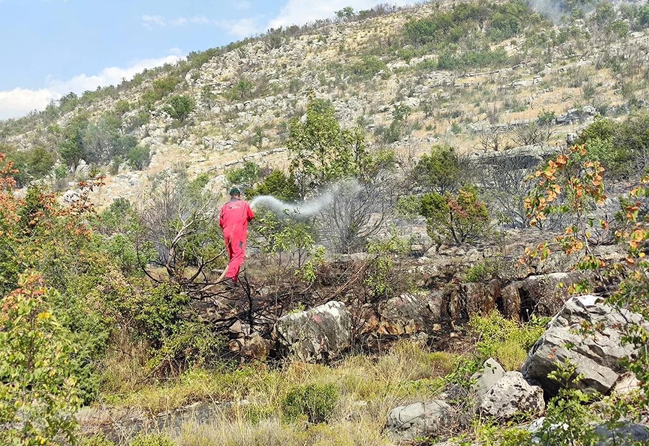 Požar u neumskom zaleđu