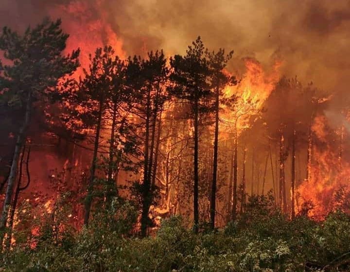 Pogledajte dramatične slike požara u Sloveniji