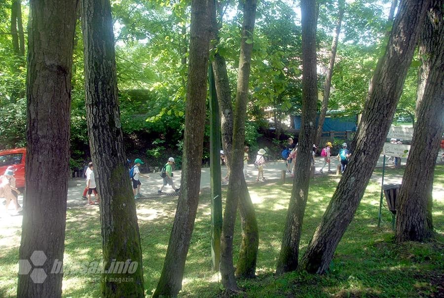 Tršić svakog dana prima đake na buljuke