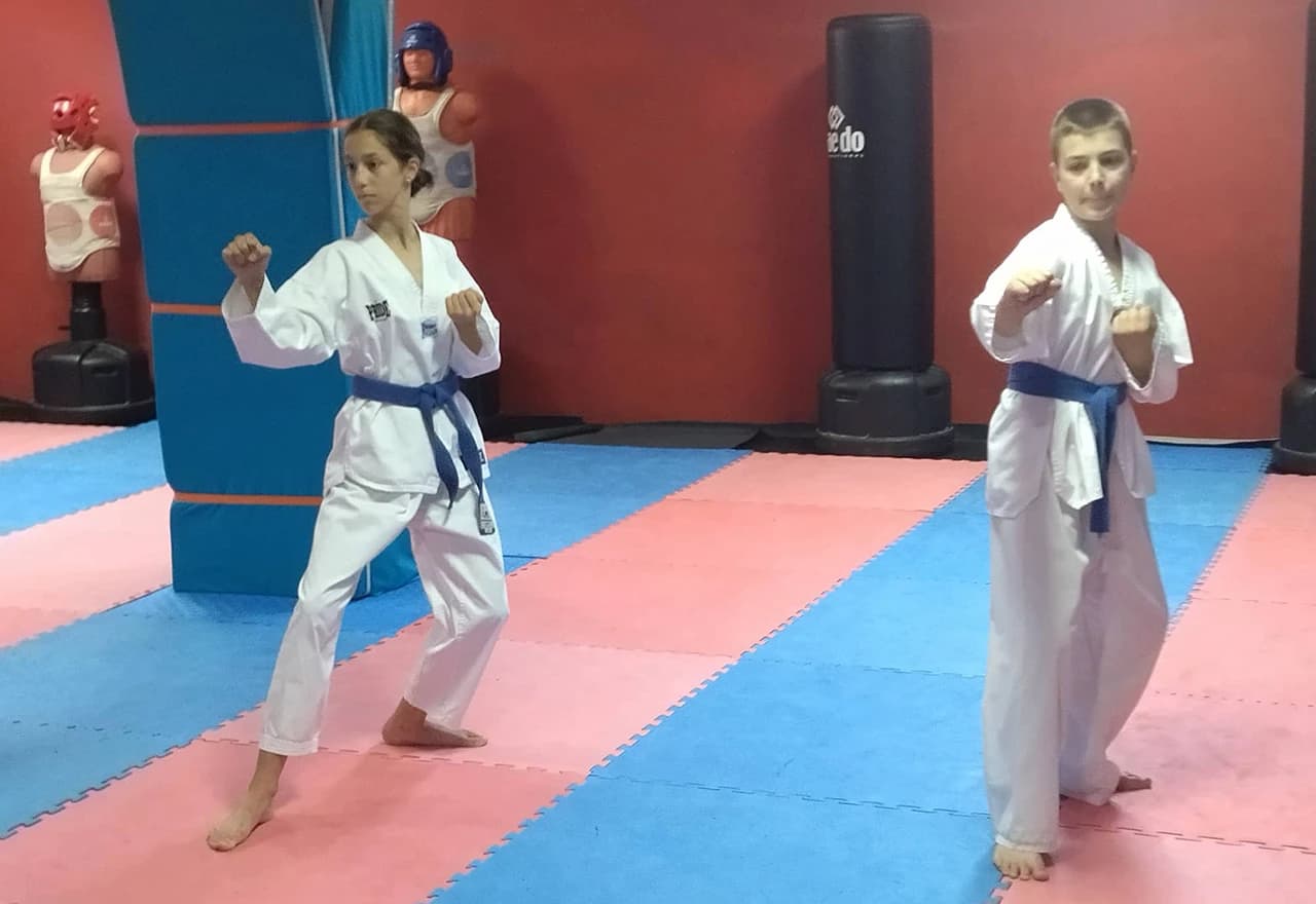 Polaganje za pojaseve i seminar