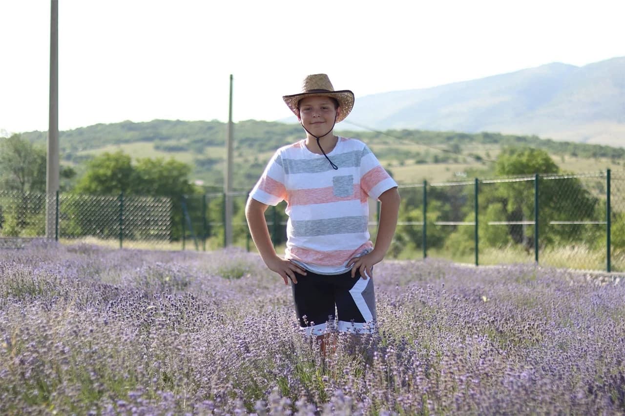 Sin Ivan Talić rado pomaže u berbi lavande