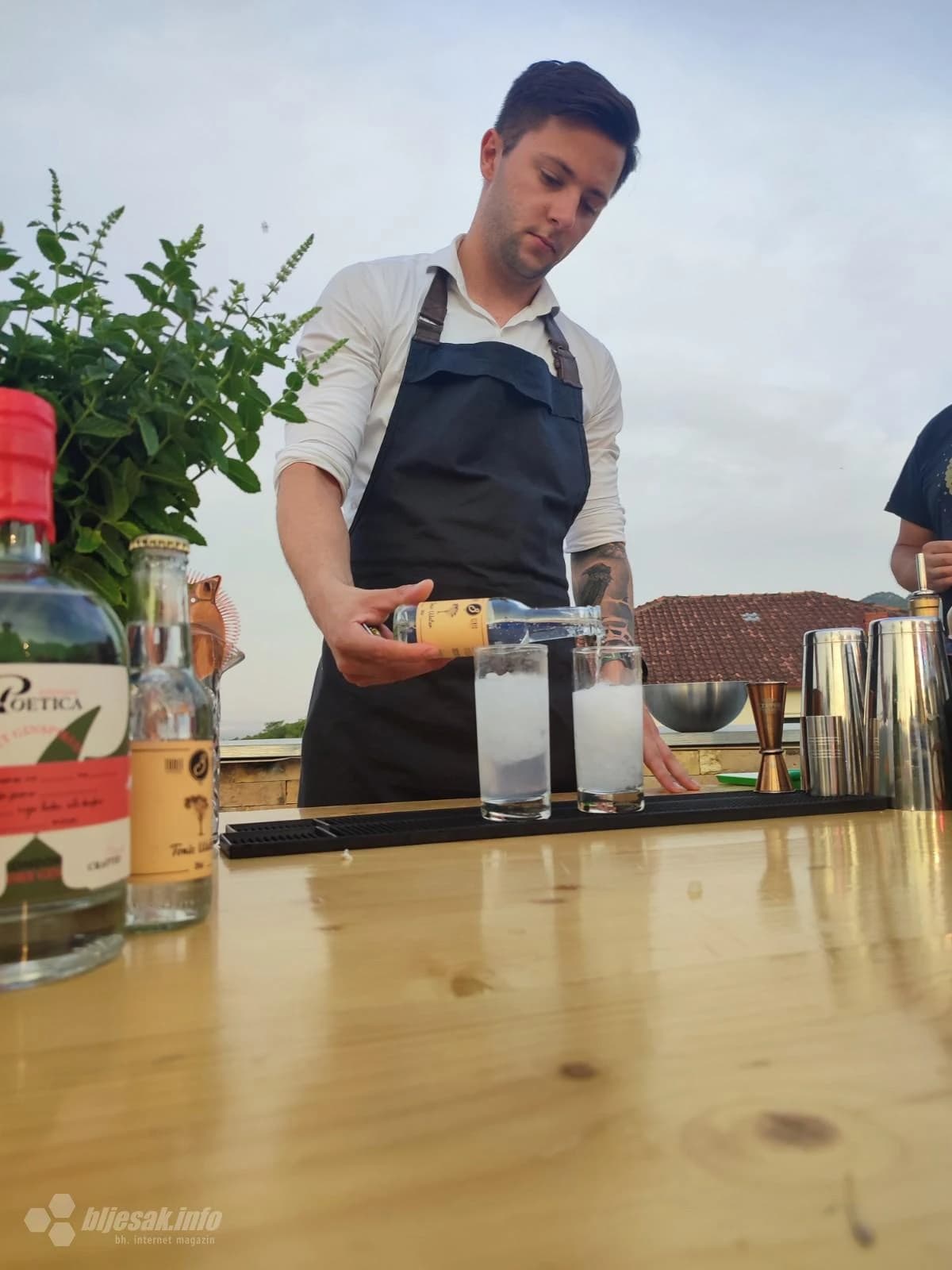 Poetica u Tinovom gradu