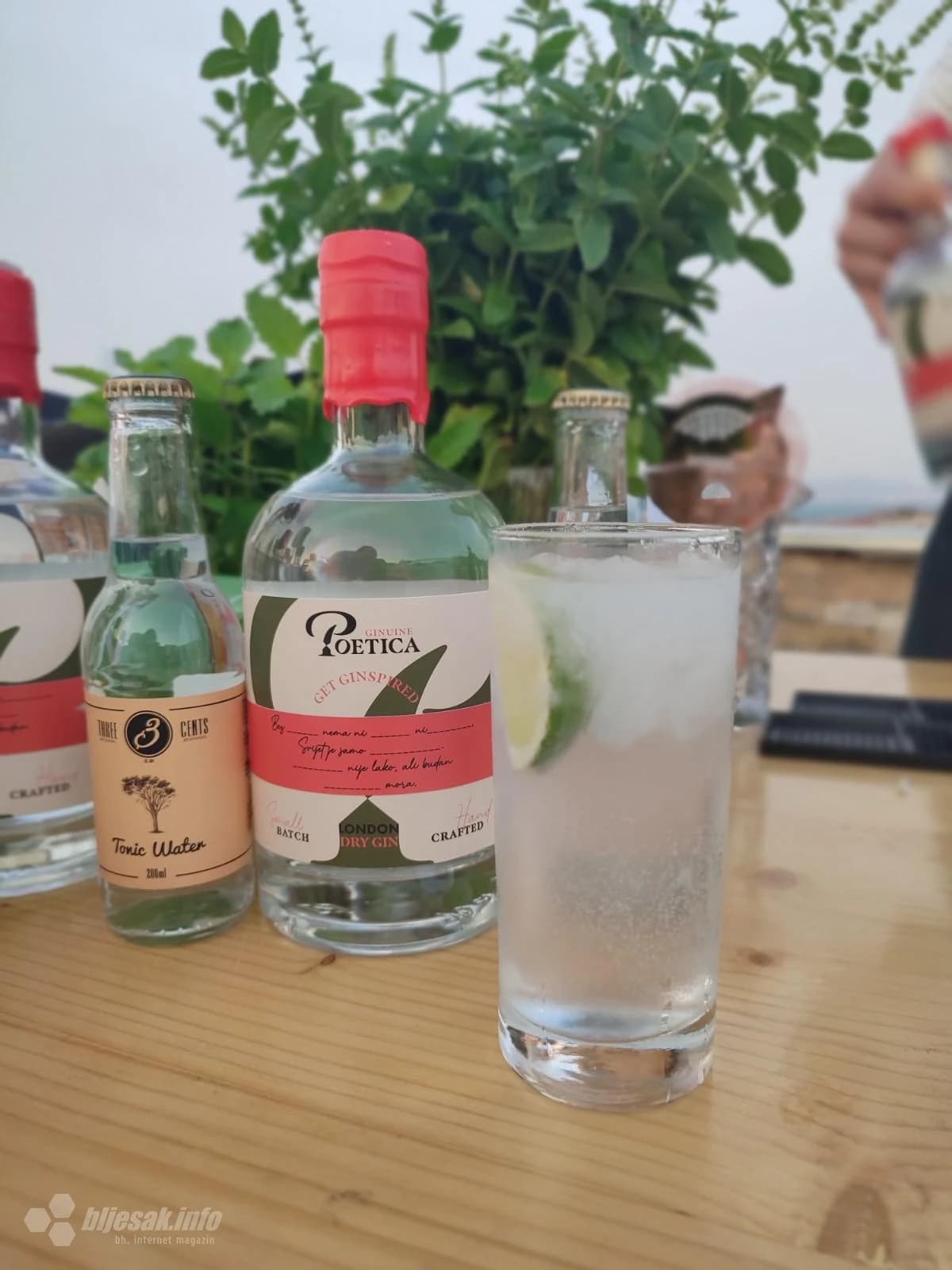 Poetica u Tinovom gradu