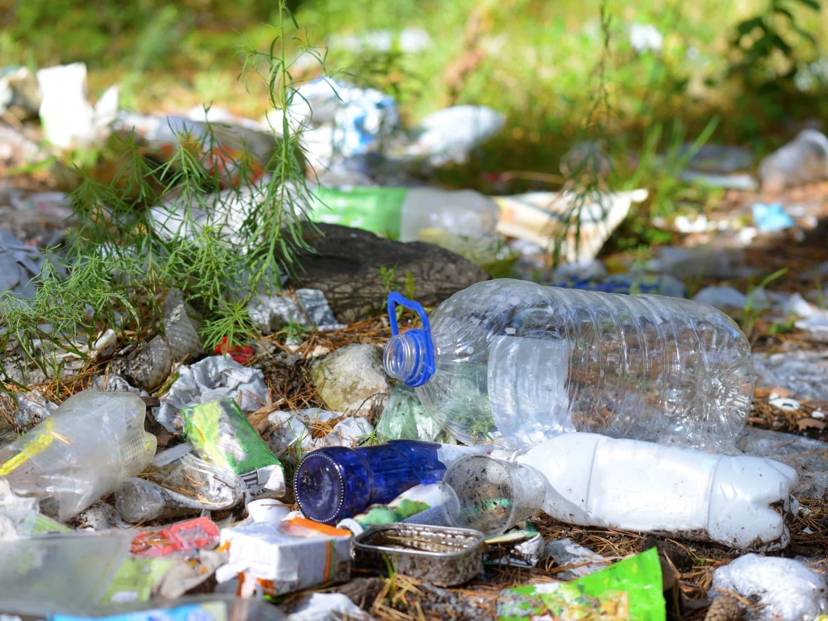 Akcije čišćenja organizirane su u okviru kampanje „Čuvaj, pazi, ne bacaj!“ u suradnji sa kompanijom Molson Coors i njihovim Ožujskim pivom.