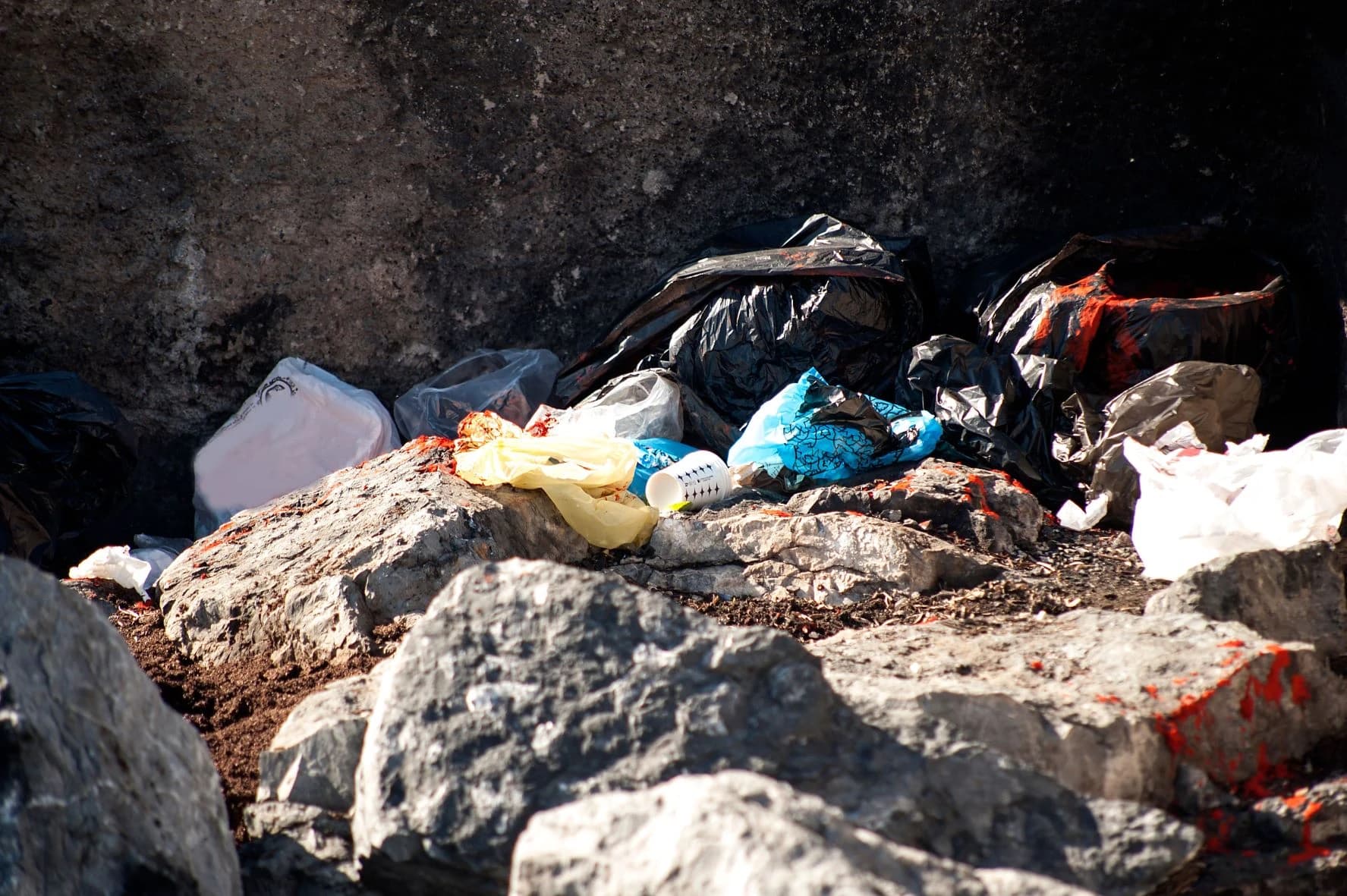 Akcije čišćenja organizirane su u okviru kampanje „Čuvaj, pazi, ne bacaj!“ u suradnji sa kompanijom Molson Coors i njihovim Ožujskim pivom.