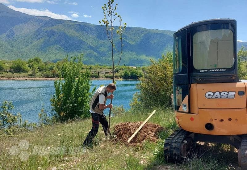 Bijelo Polje kraj Mostara od danas je bogatije za 90 sadnica. 