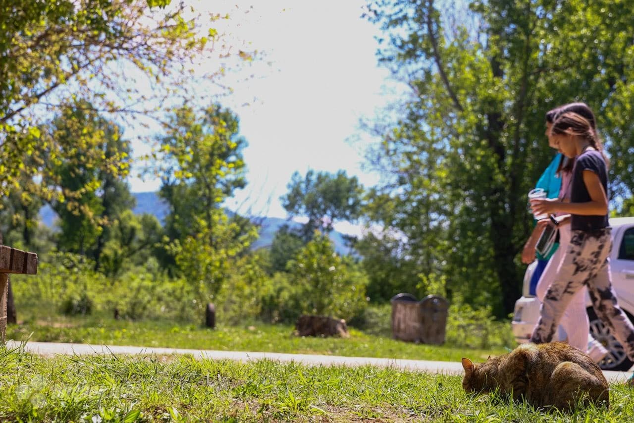 Bunica čista i uredna čeka izletnike