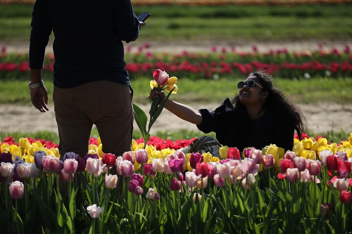 Stotine posjetitelja na poljima tulipana