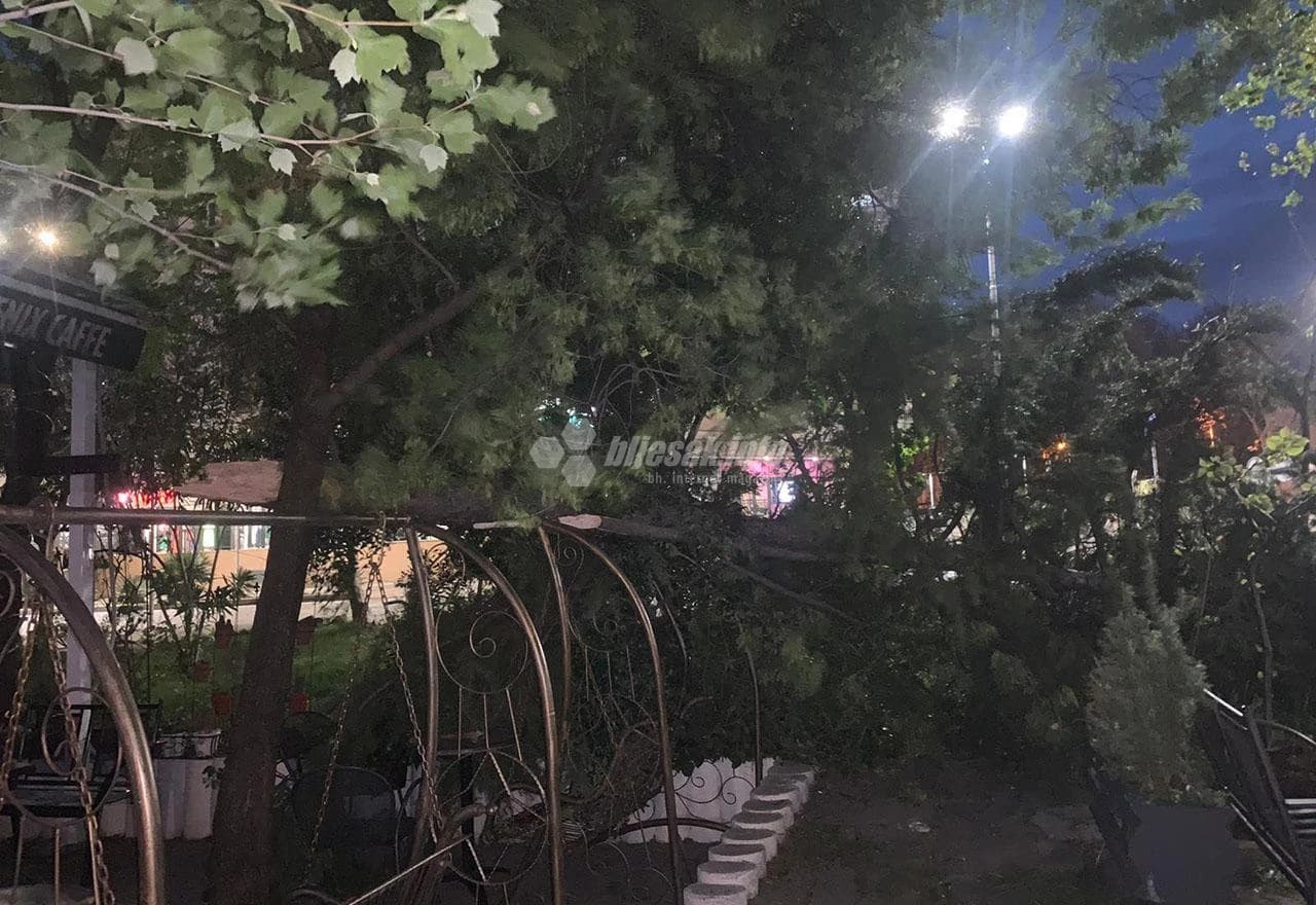 Centar 2 opet na meti mostarske bure: Pao bor na baštu ugostiteljskog objekta