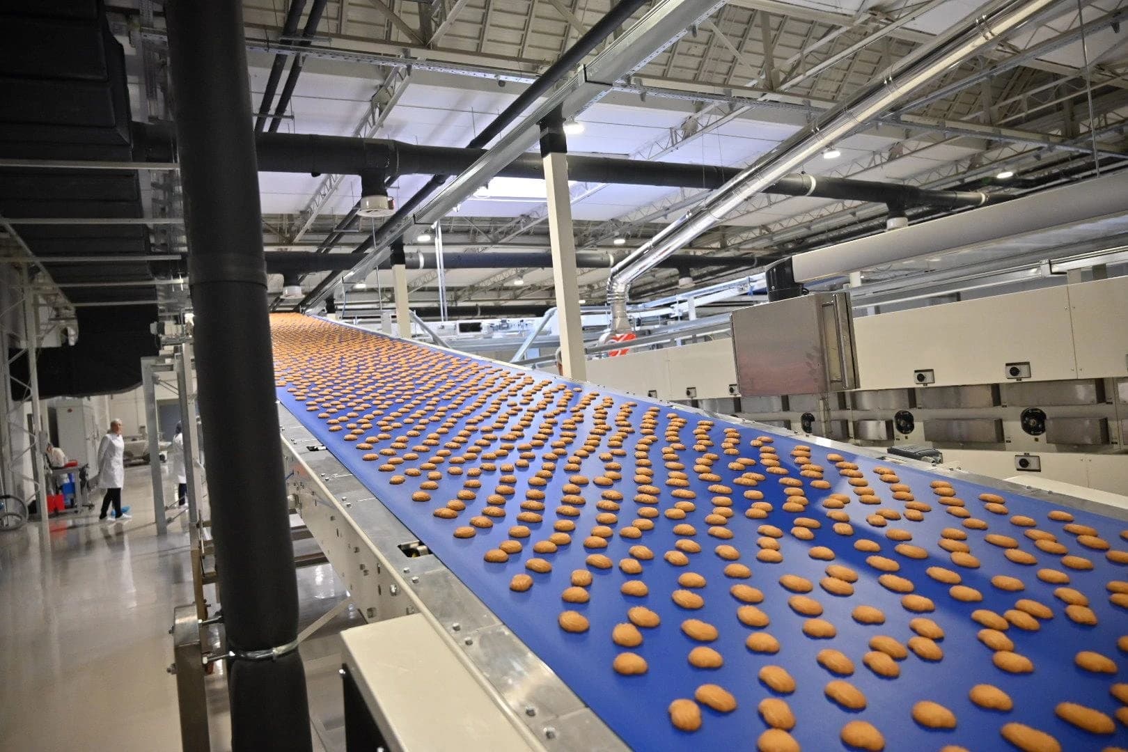 Lasta ugostila ambasadora EU u BiH G. Johanna Sattlera