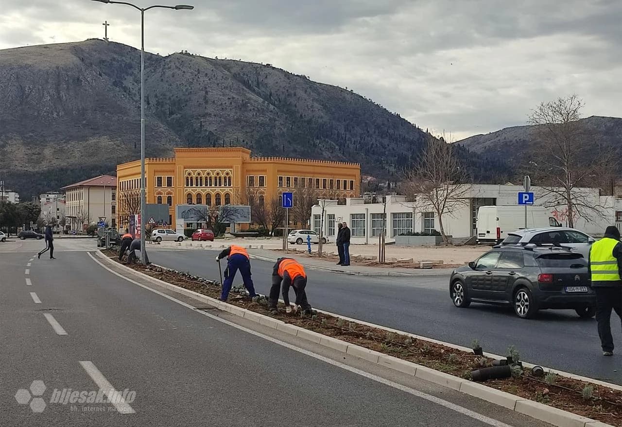 Mostar: Posađena lavanda na potezu od Španjolskog trga do Ere