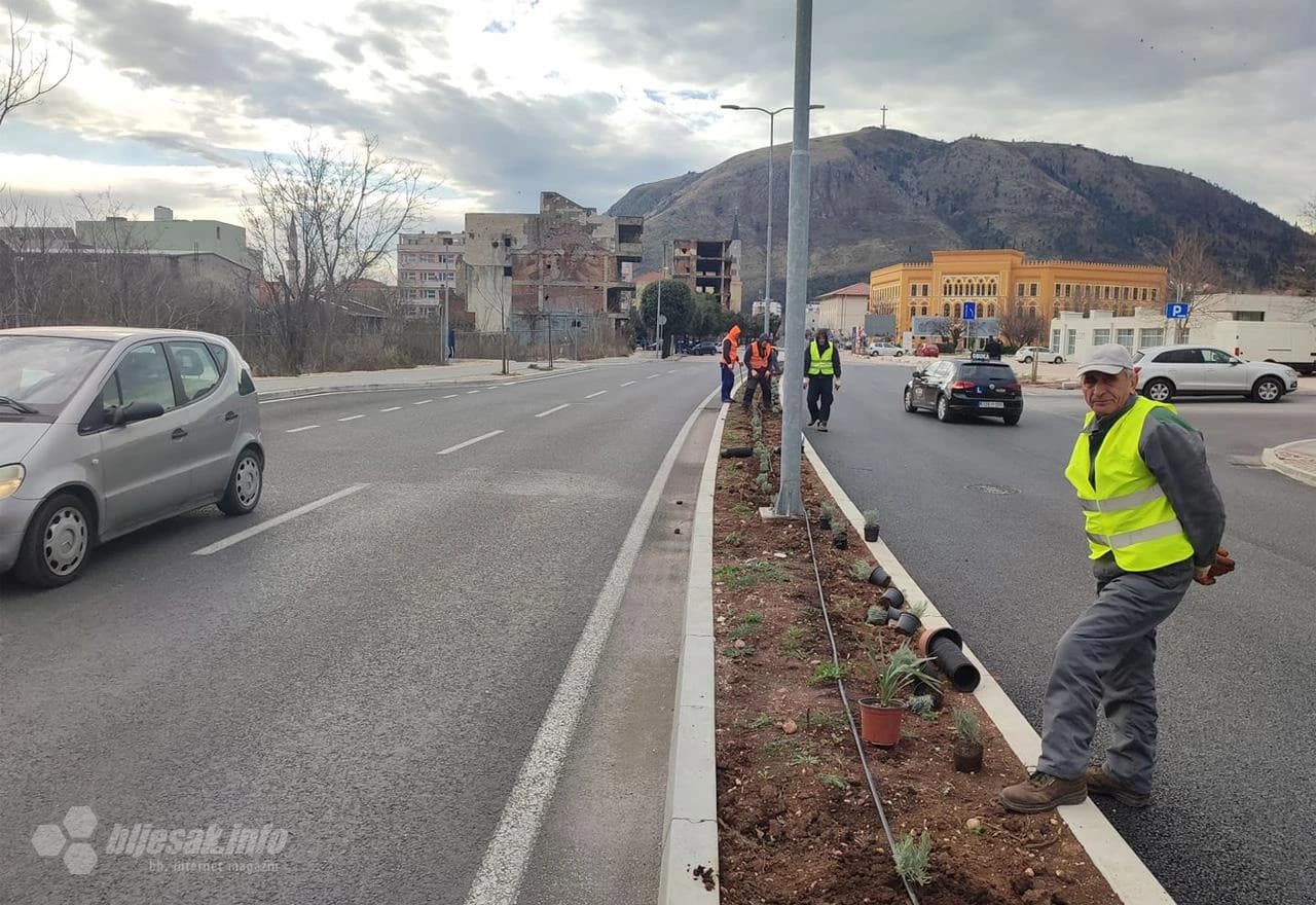 Mostar: Posađena lavanda na potezu od Španjolskog trga do Ere