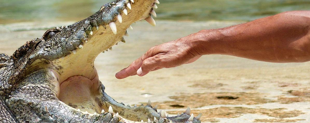 Suživot ljudi i divljih životinja