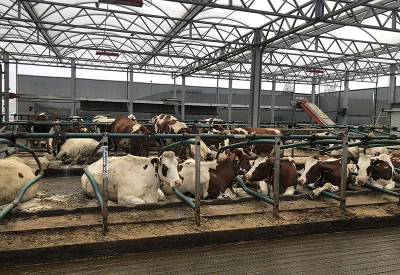 Prva svjetska plutajuća farma