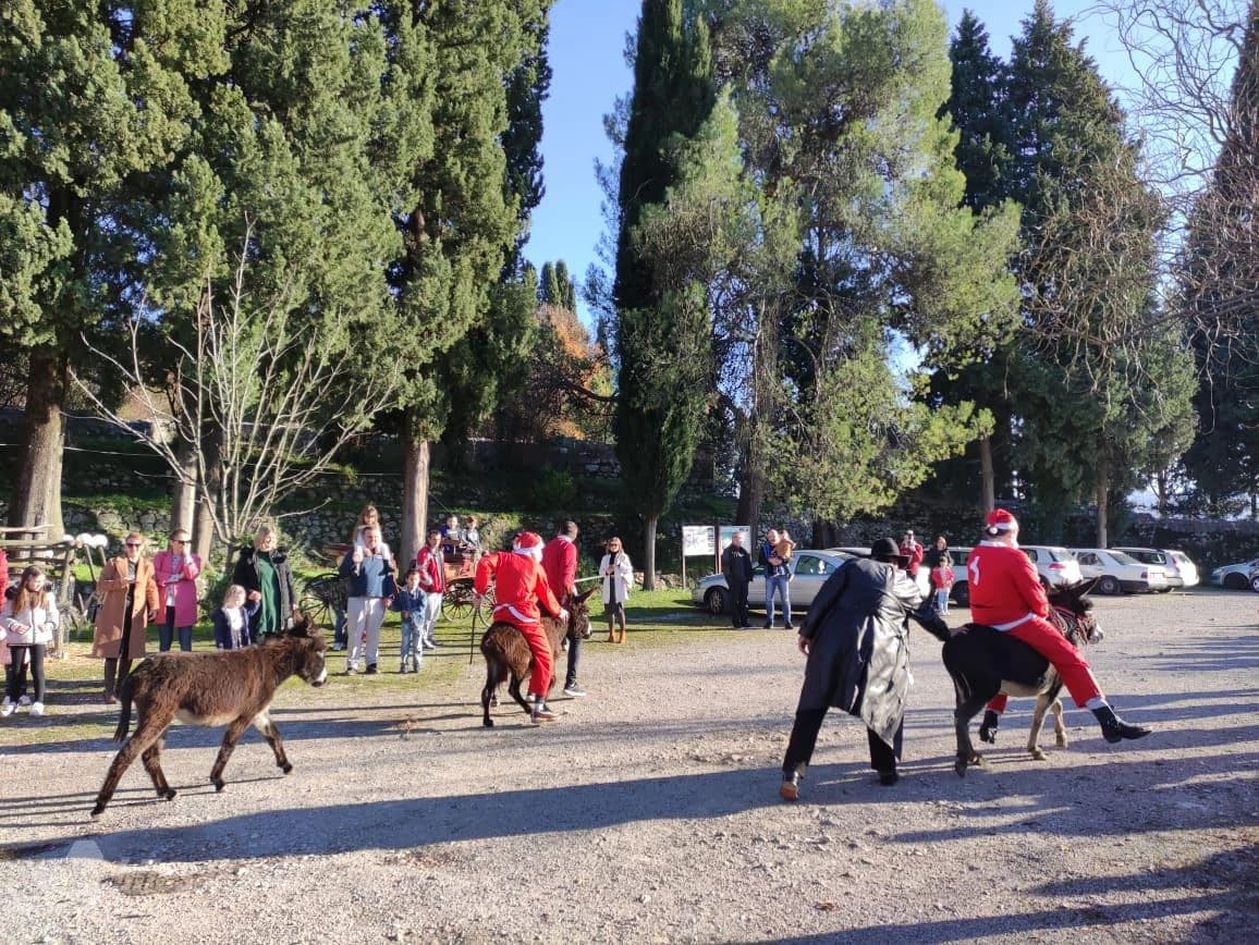Utrka magaraca u Konjičkom klubu Vranac