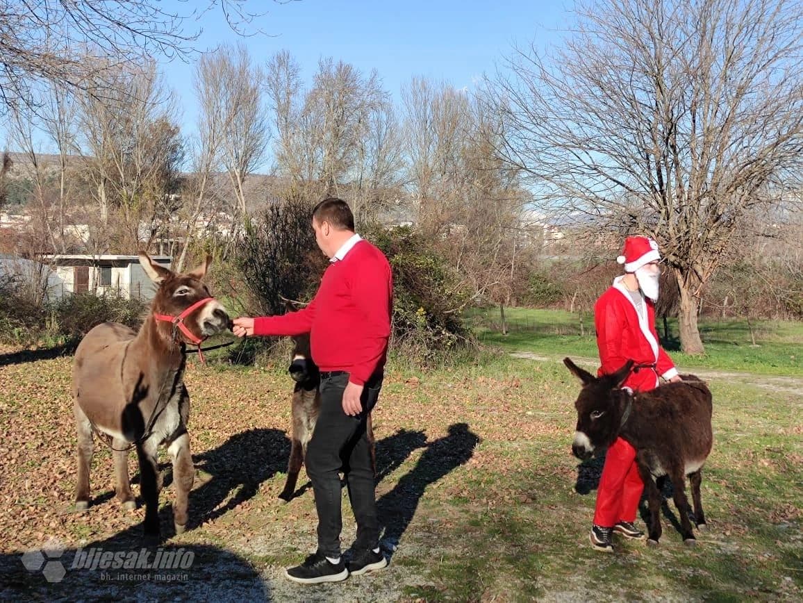 Utrka magaraca u Konjičkom klubu Vranac